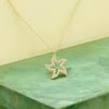 Deniz Yıldızı Altın Kolye